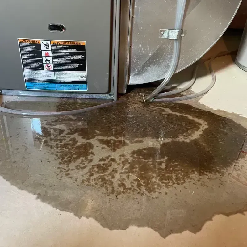 Appliance Leak Cleanup in Kennebunk, ME